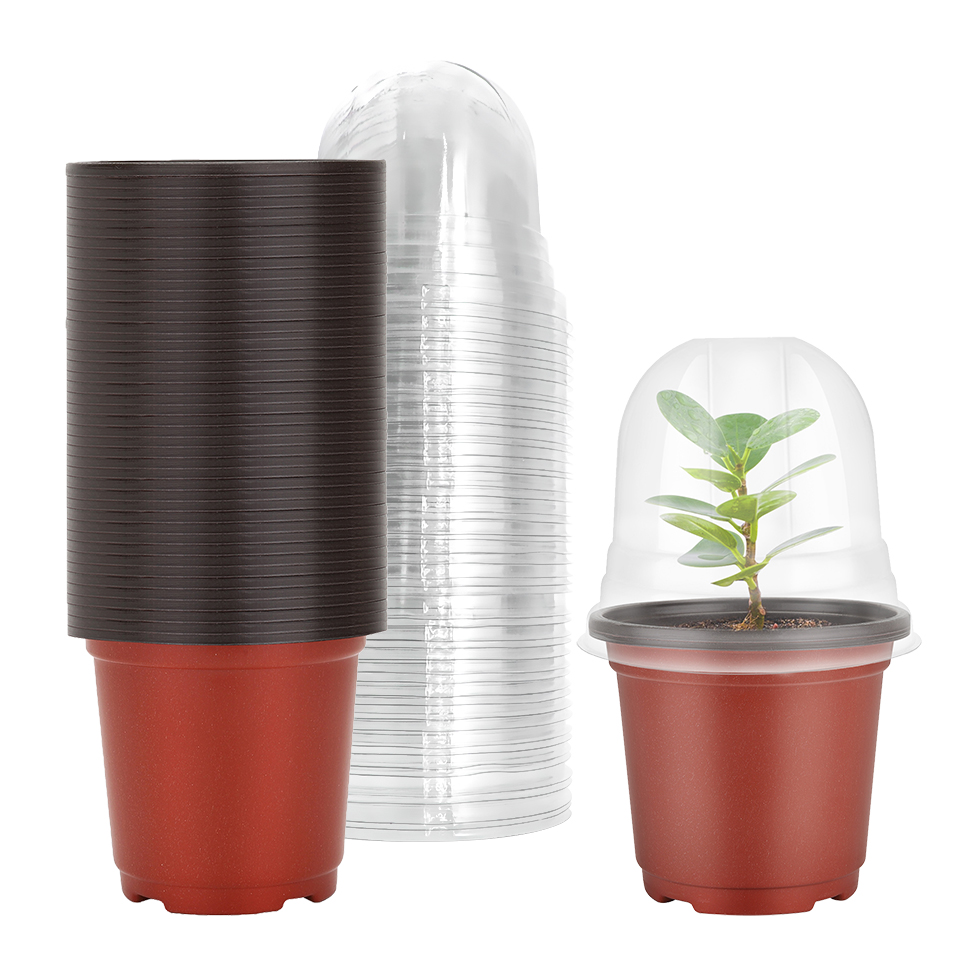 Seed Starter Trays - Pot tanaman pembibitan dengan kelembaban kubah,