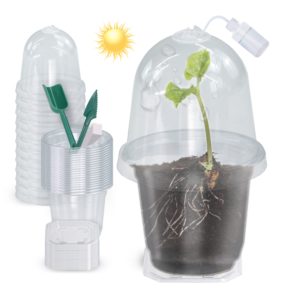 Seed Starter Trays - 160x90CM Terlihat Bening Tanaman Perkecambahan Piala