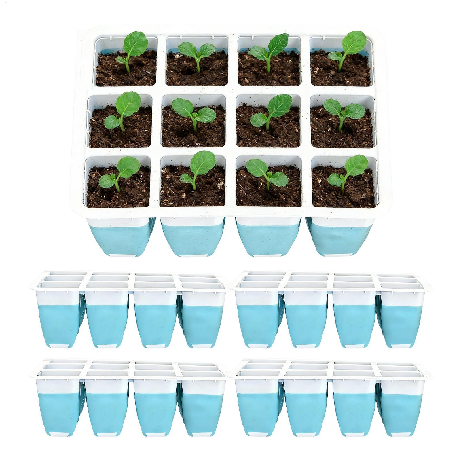 Seed Starter Trays - 5 Paket Baki Semai Silikon 60