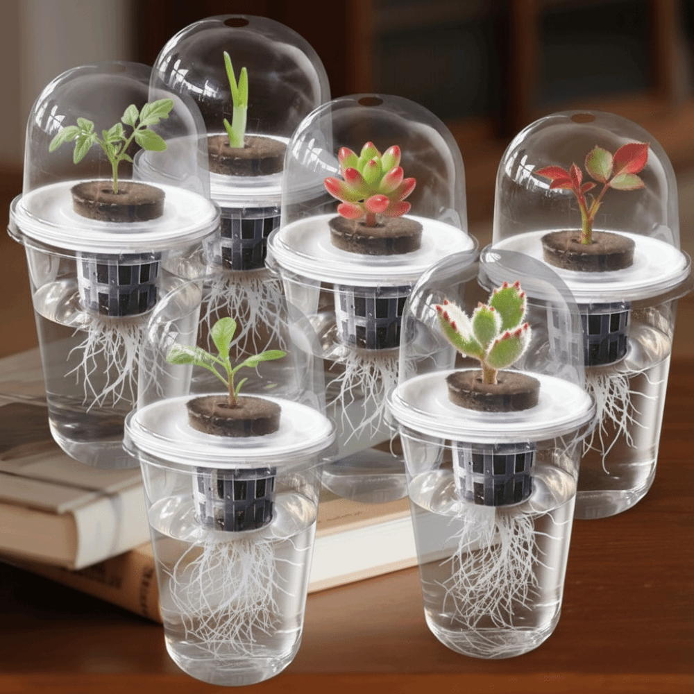 Seed Starter Trays - 1-5pc Wadah Perkecambahan Tanaman Transparan, Pot
