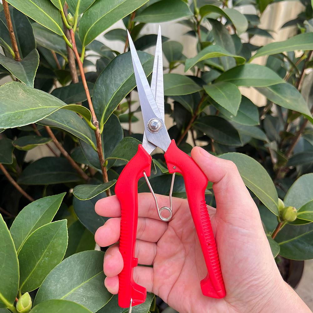 Essential Gardening Tools - Gunting Pangkas Taman Pro Garden, Gunting