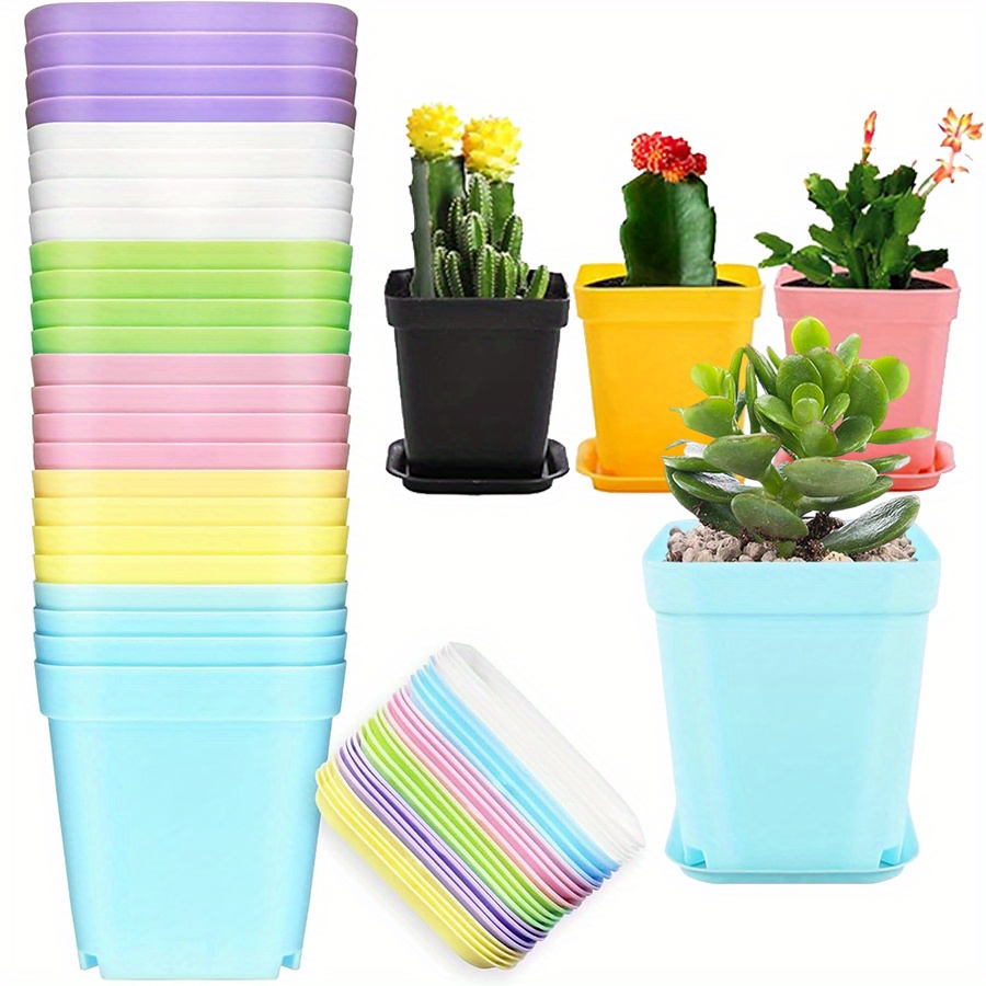 Seed Starter Trays - 12 Buah Pot Persegi Plastik 7Cm