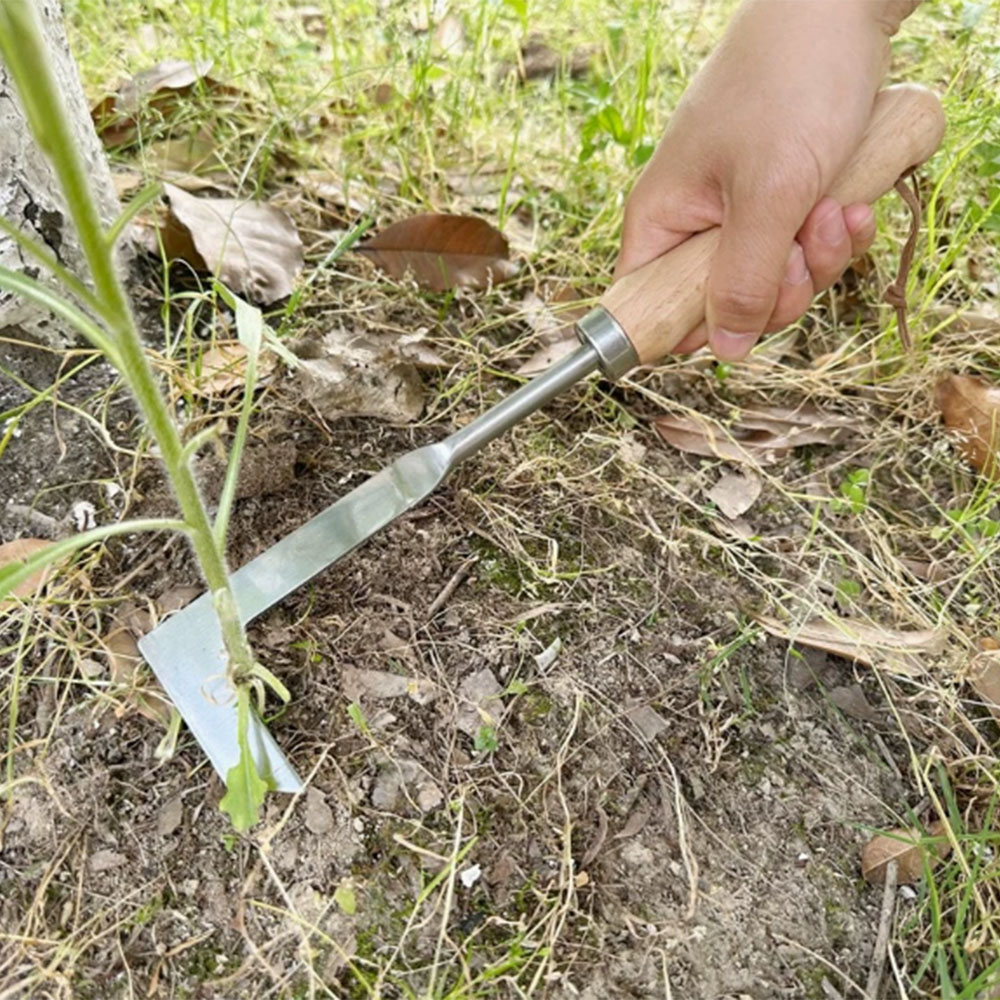 Alat Penyiang Gulma dari Baja  - Gardening Tools Used For Weeding ulasan dan harga