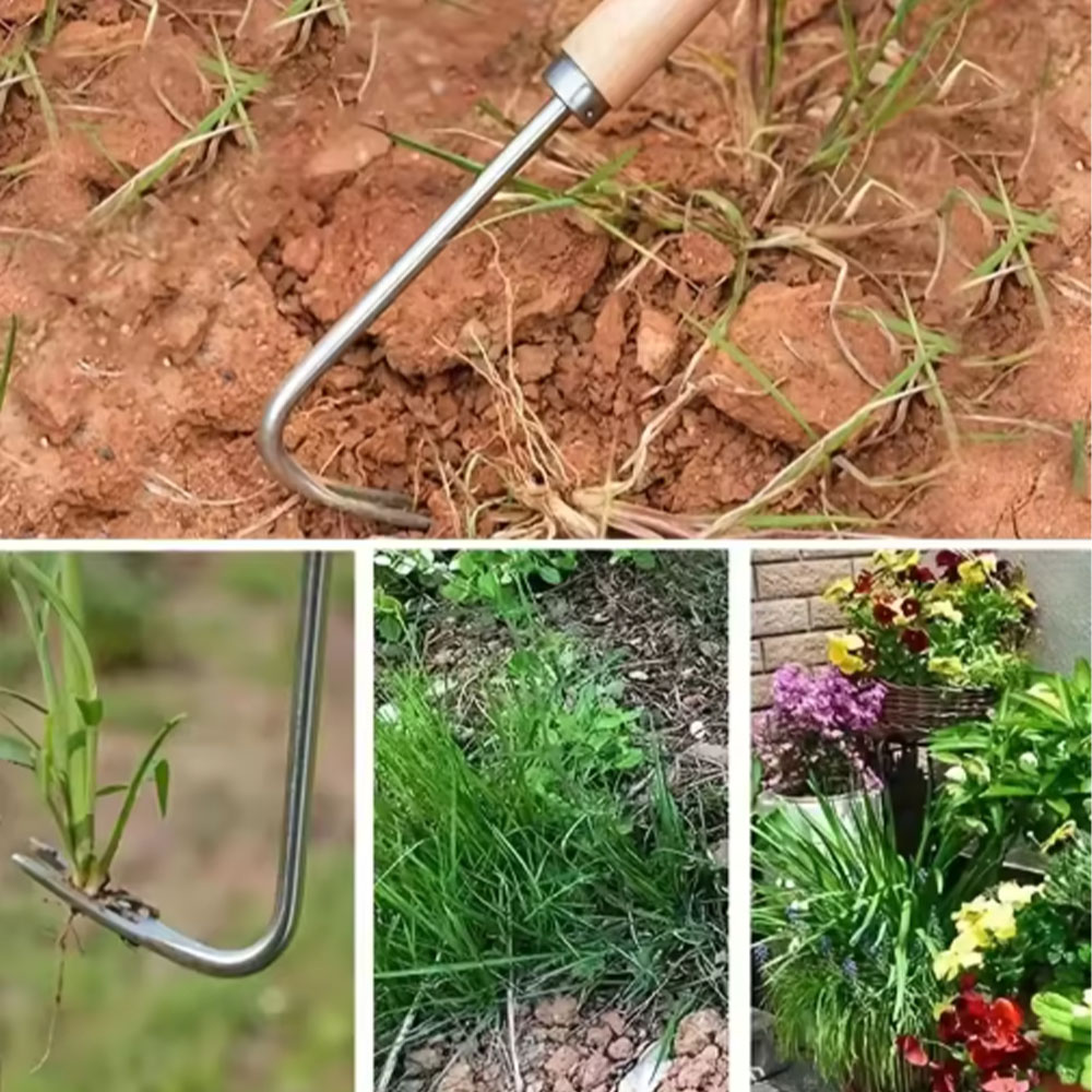 Alat Penyiang Gulma dari Baja  - Gardening Tools Used For Weeding ulasan dan harga