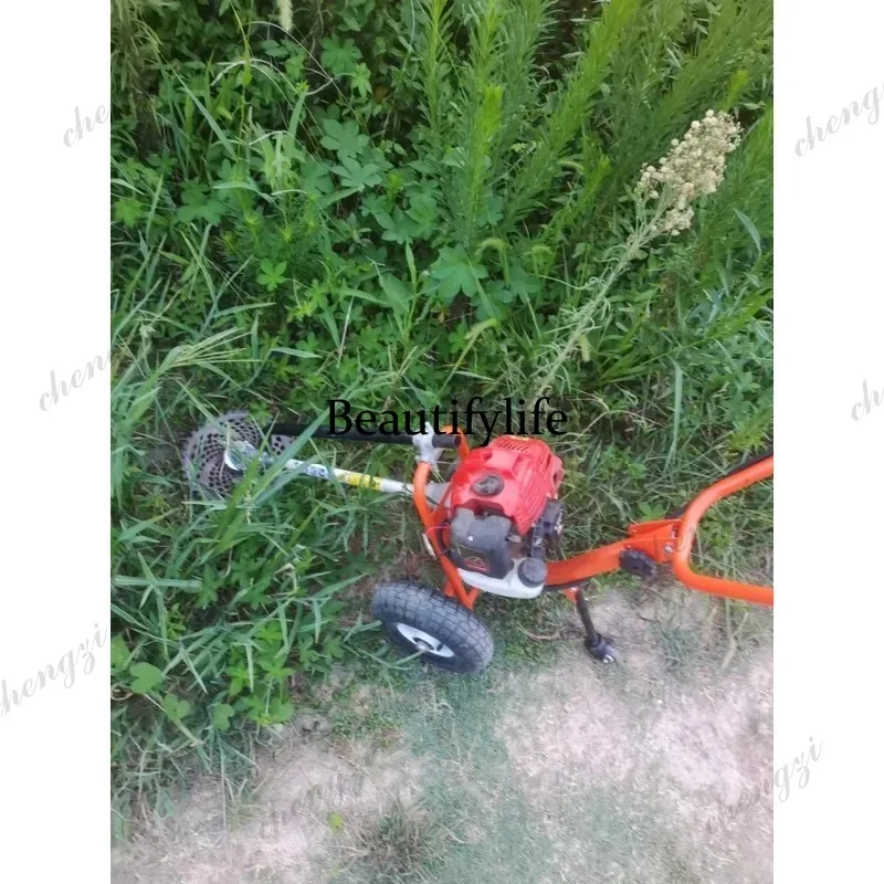 Mesin pemotong rumput dorong L - Gardening Tools And Equipment ulasan dan harga