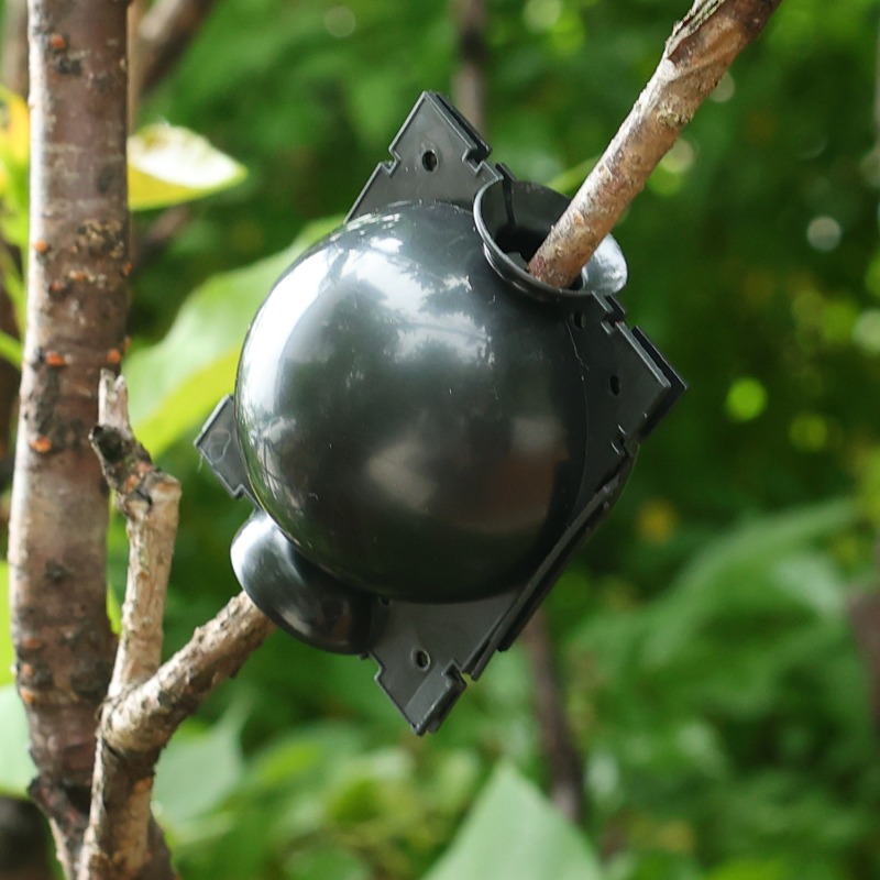 Alat Cangkok Bola Perakaran Ta - Gardening Tools Organiser ulasan dan harga