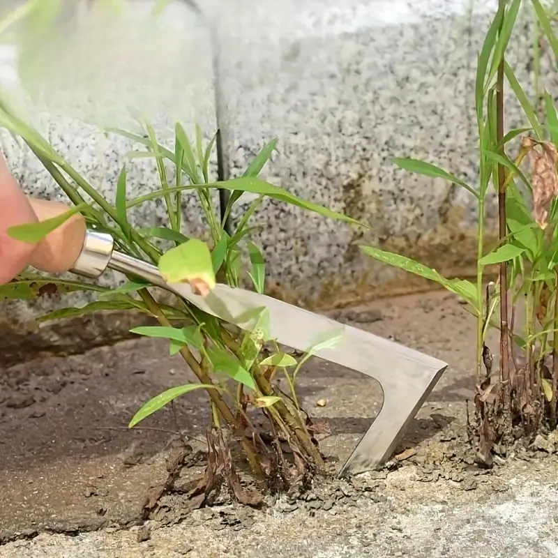 Sekop tangan baja karbon tugas - Gardening Tools Spade ulasan dan harga