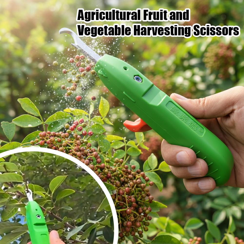 Gunting Pemetik Buah dan Sayur - Essential Gardening Tools ulasan dan harga