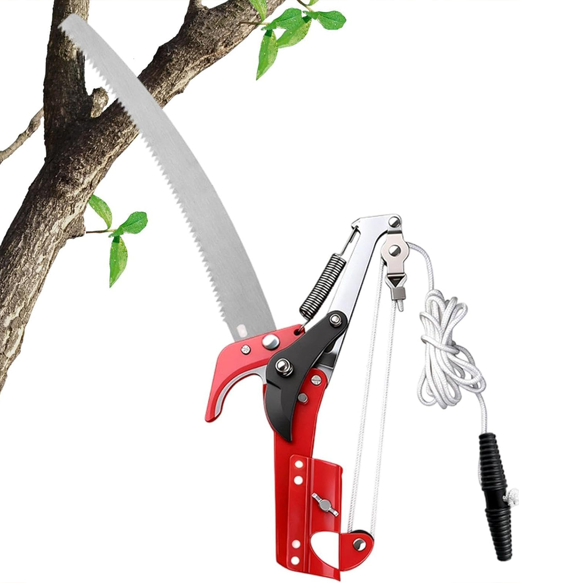 Gunting Pemangkas Pohon Keting - Essential Gardening Tools ulasan dan harga