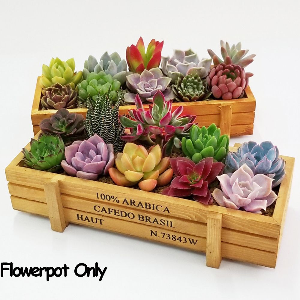 1 buah peralatan dekorasi tama - Gardening Tools Organiser ulasan dan harga