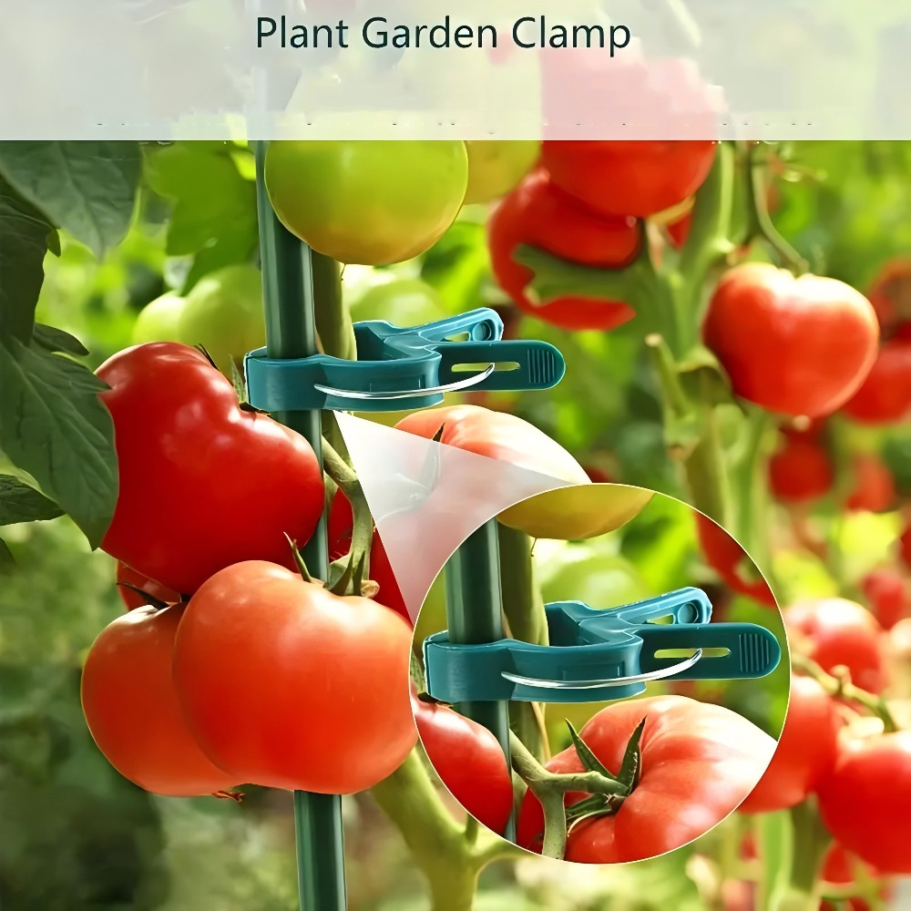 10/30/50 Buah Klip Tanaman Yan - Essential Gardening Tools ulasan dan harga