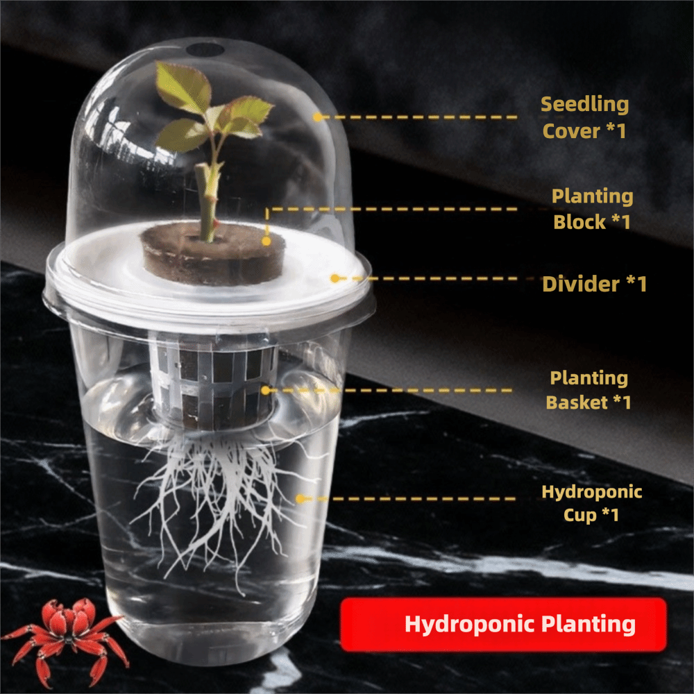 1-5pc Wadah Perkecambahan Tana - Seed Starter Trays ulasan dan harga