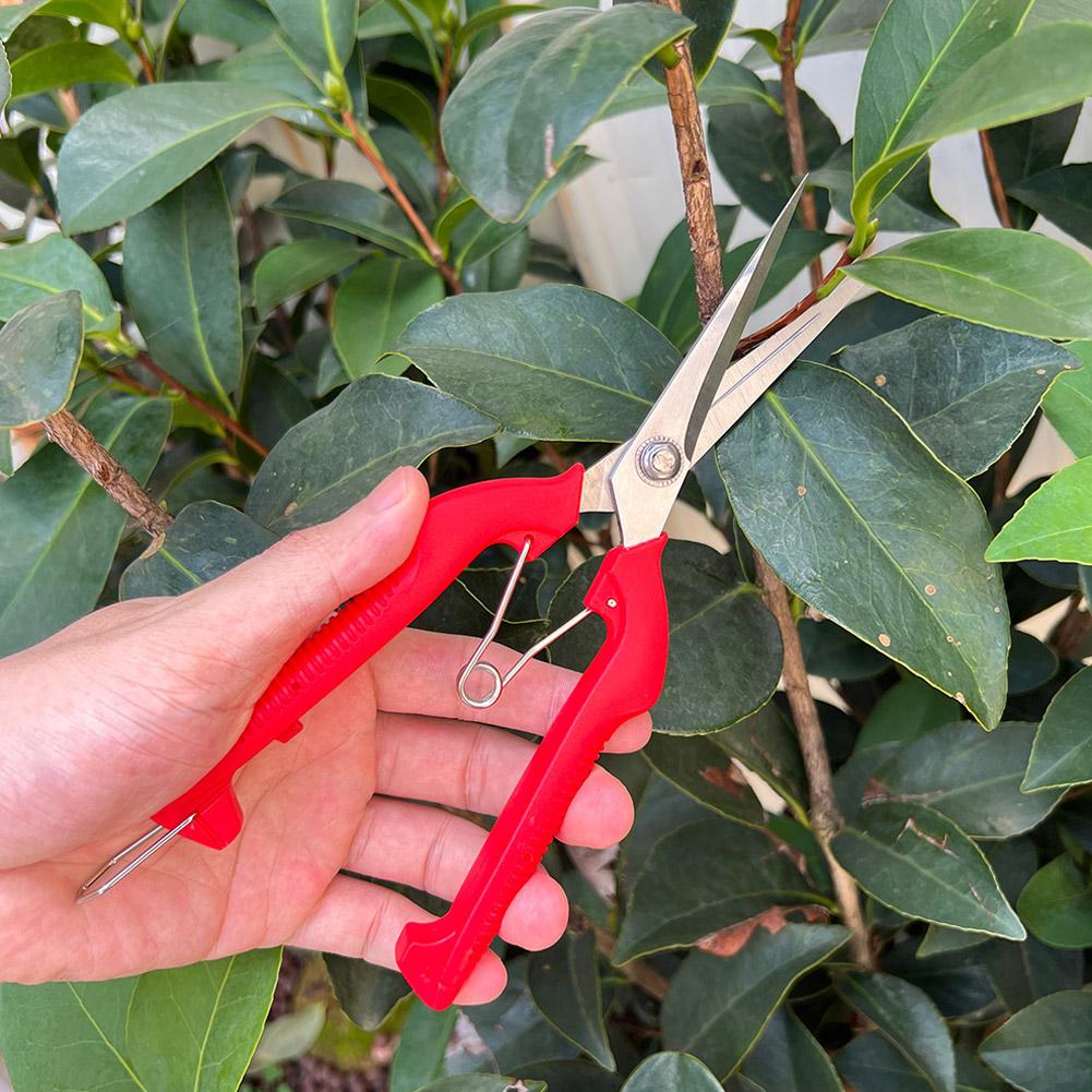Gunting Pangkas Taman Pro Gard - Essential Gardening Tools ulasan dan harga