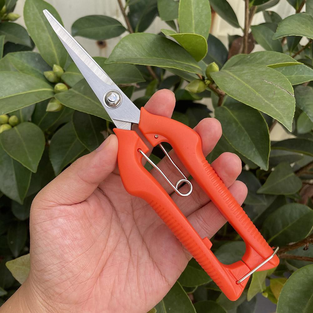 Gunting Pangkas Taman Pro Gard - Essential Gardening Tools ulasan dan harga
