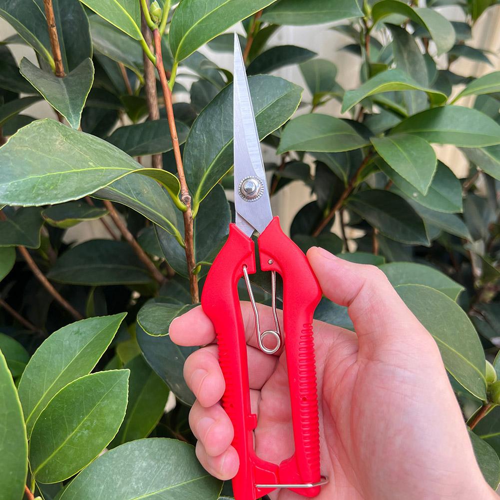Gunting Pangkas Taman Pro Gard - Essential Gardening Tools ulasan dan harga