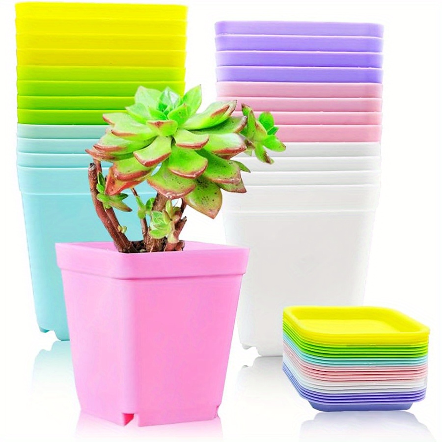 12 Buah Pot Persegi Plastik 7C - Seed Starter Trays ulasan dan harga