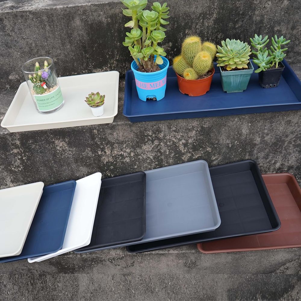 4-Pack Alas Drainase Tanaman P - Seed Starter Trays ulasan dan harga