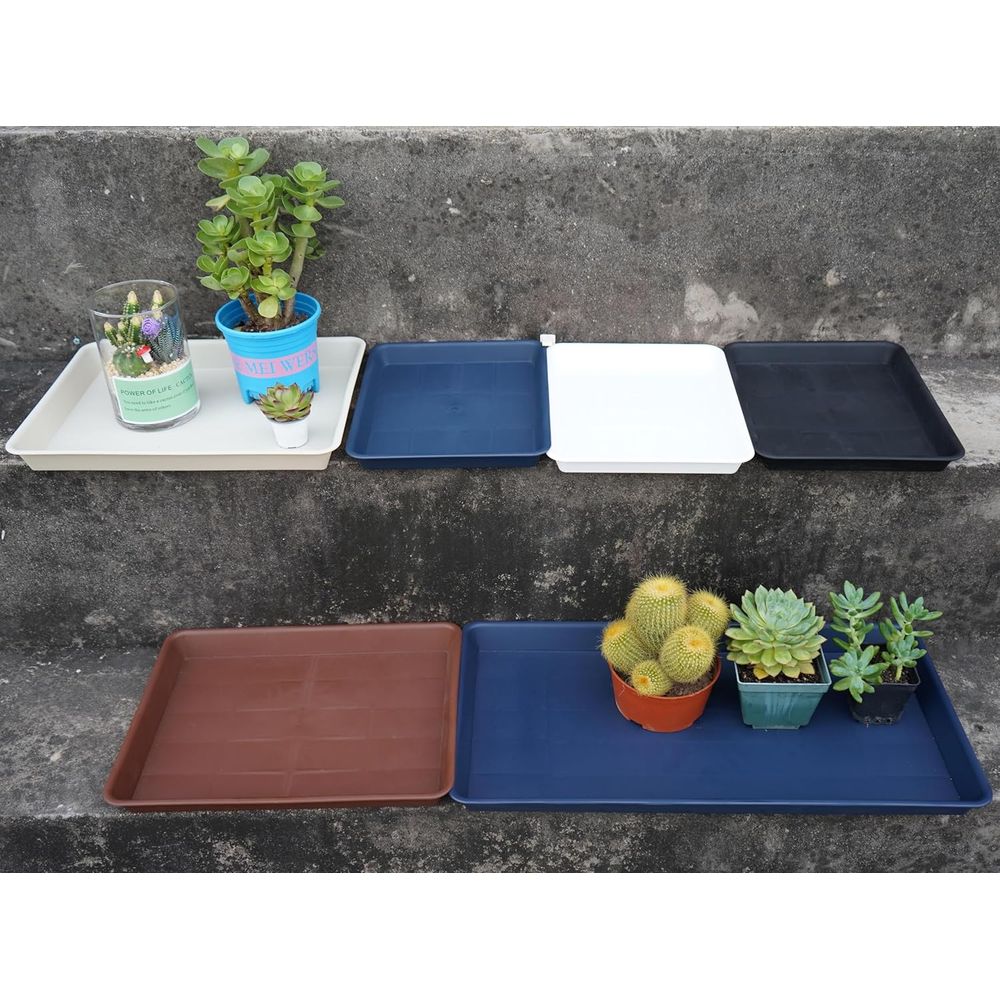 4-Pack Alas Drainase Tanaman P - Seed Starter Trays ulasan dan harga