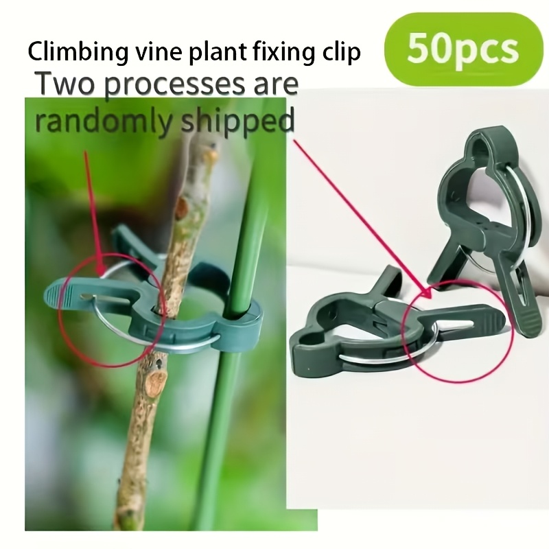 20 Klip Penyangga Tanaman yang - Essential Gardening Tools ulasan dan harga