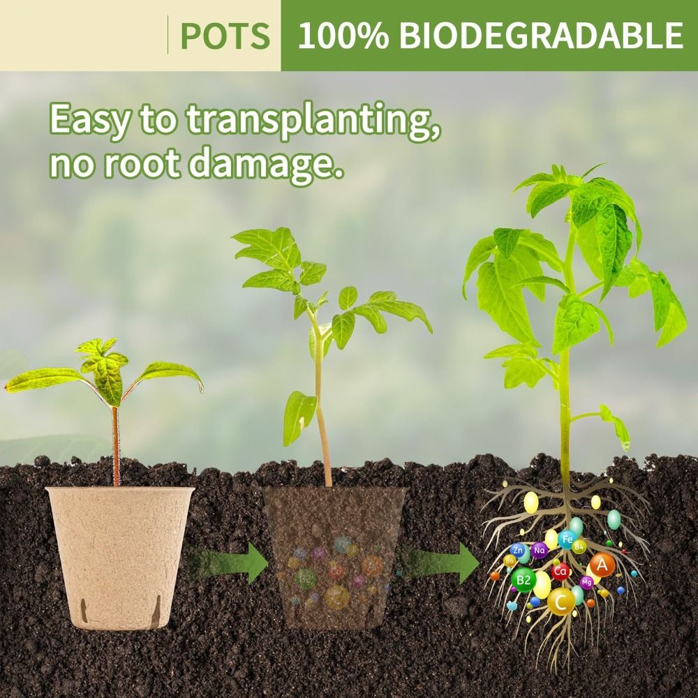 50PCS Pot Pembibitan Tanaman B - Seed Starter Trays ulasan dan harga